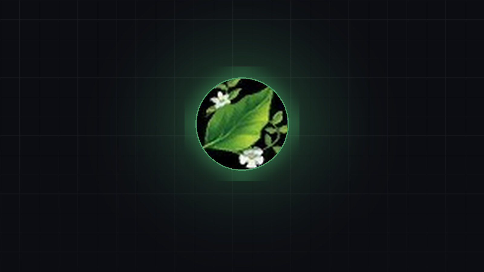 Herbalism Uzmanlık Rehberi ve Knowledge Point Kaynakları