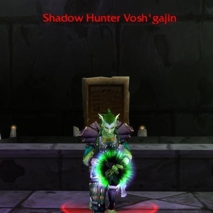 Shadow Hunter Vosh'gajin