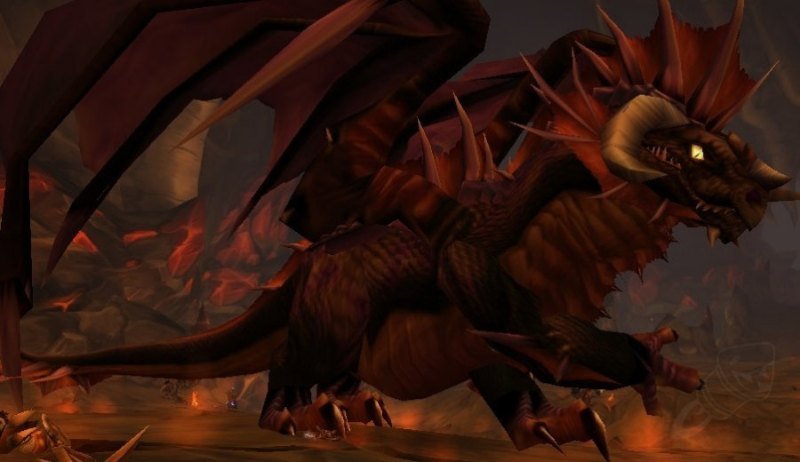 Onyxia, 1. fazda yuvasında